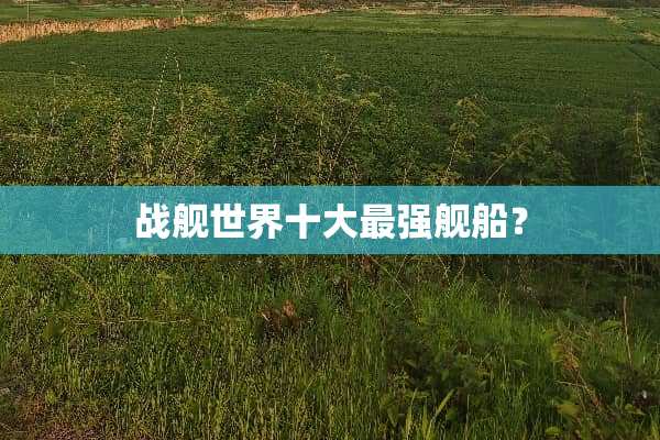 战舰世界十大最强舰船？