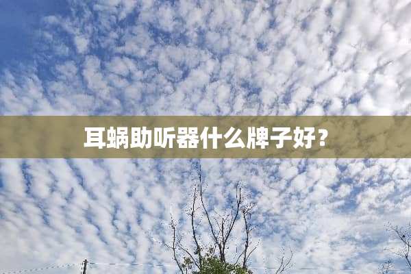 耳蜗***什么牌子好？