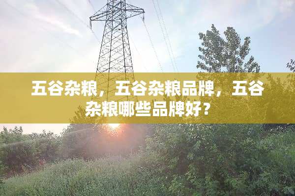 五谷杂粮，五谷杂粮品牌，五谷杂粮哪些品牌好？