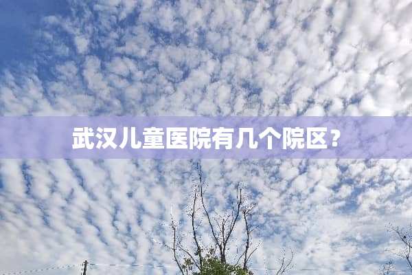武汉儿童医院有几个院区？