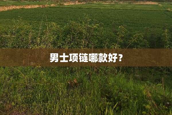男士项链哪款好？