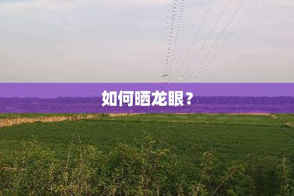 如何晒龙眼？
