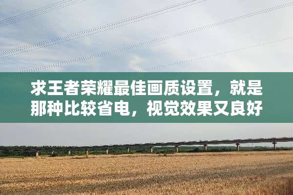 求王者荣耀最佳画质设置，就是那种比较省电，视觉效果又良好的设置方案？