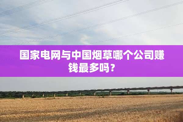 国家电网与中国烟草哪个公司赚钱最多吗？