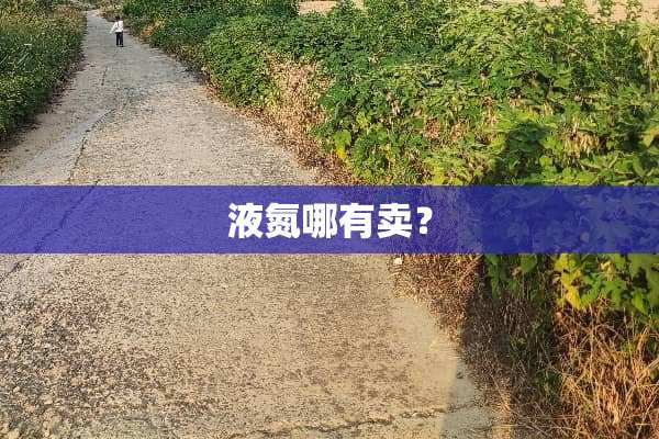 液氮哪有卖？
