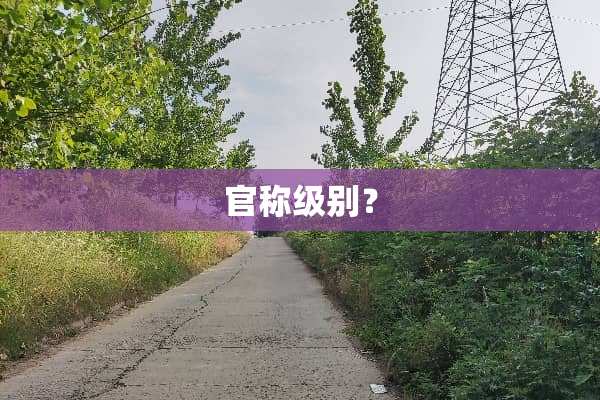 官称级别？