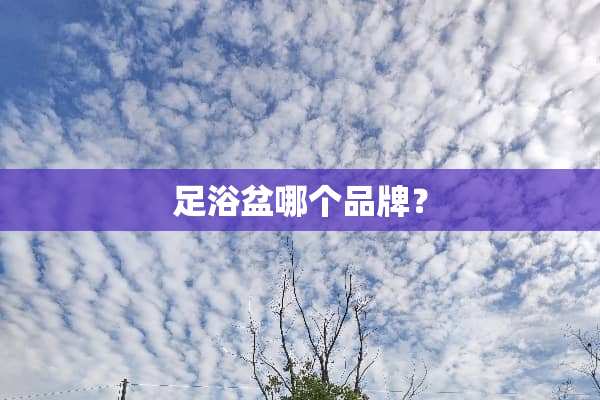 **盆哪个品牌？