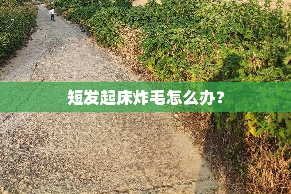 短发起床炸毛怎么办？