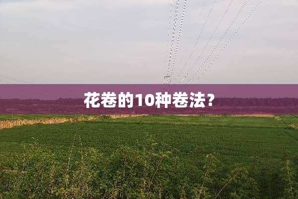 花卷的10种卷法？