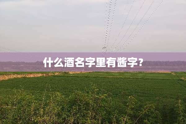 什么酒名字里有酱字？