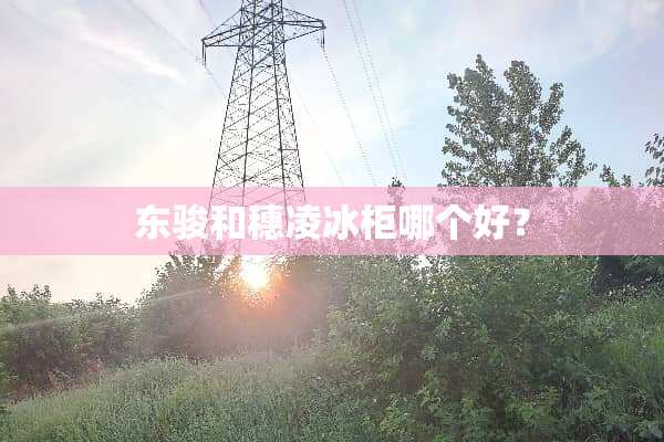 东骏和穗凌冰柜哪个好？