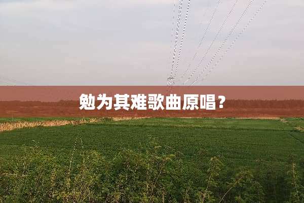 勉为其难歌曲原唱？