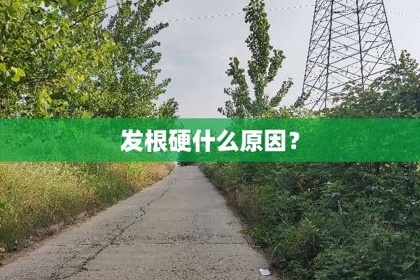 发根硬什么原因？