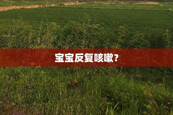 宝宝反复咳嗽？