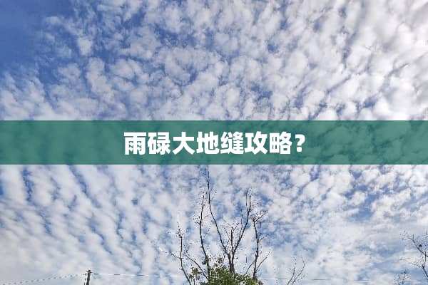 雨碌大地缝攻略？