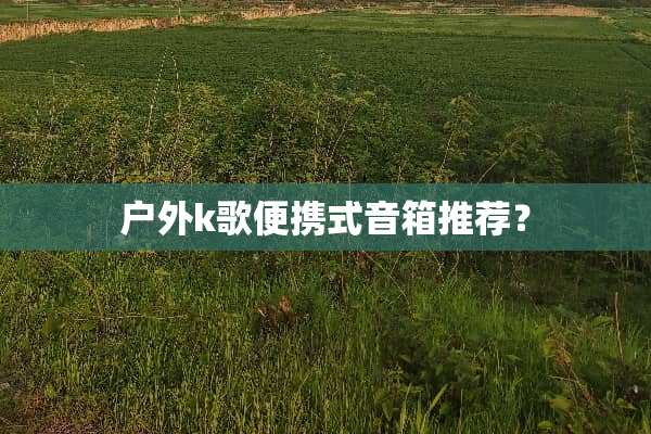 户外k歌便携式音箱推荐？