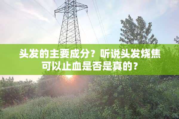 头发的主要成分？听说头发烧焦可以止血是否是真的？
