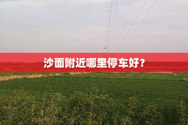 沙面附近哪里停车好？