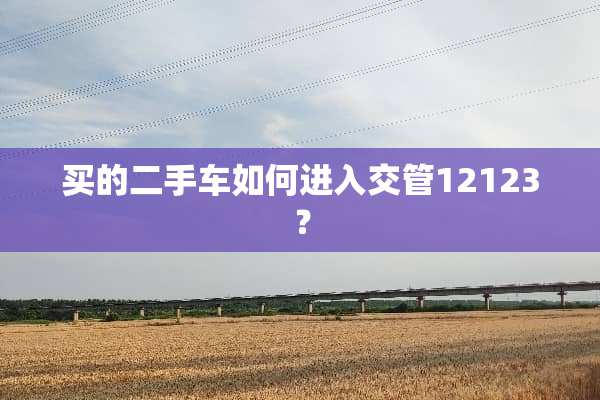 买的二手车如何进入交管12123？