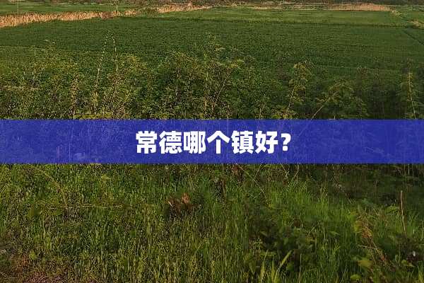 常德哪个镇好？