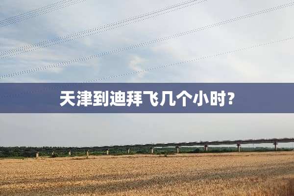 天津到迪拜飞几个小时？