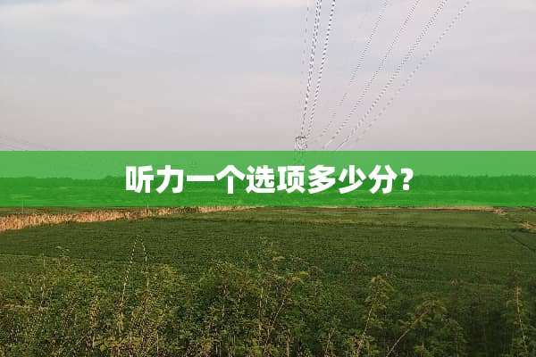 听力一个选项多少分？