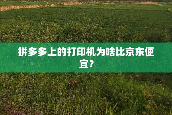 拼多多上的打印机为啥比京东便宜？