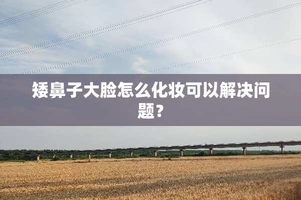矮鼻子大脸怎么化妆可以解决问题？