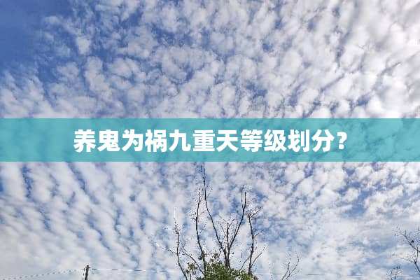 养鬼为祸九重天等级划分？