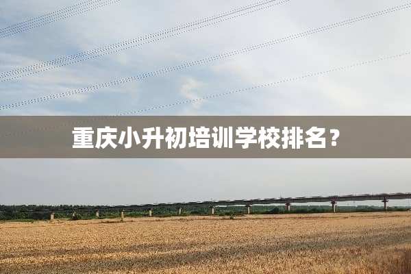 重庆小升初培训学校排名？