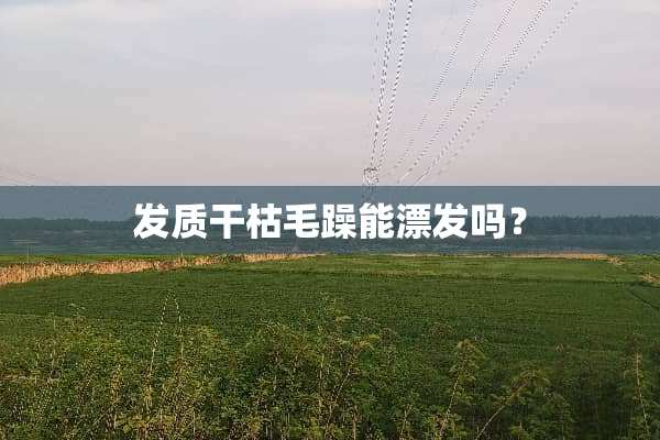 发质干枯毛躁能漂发吗？