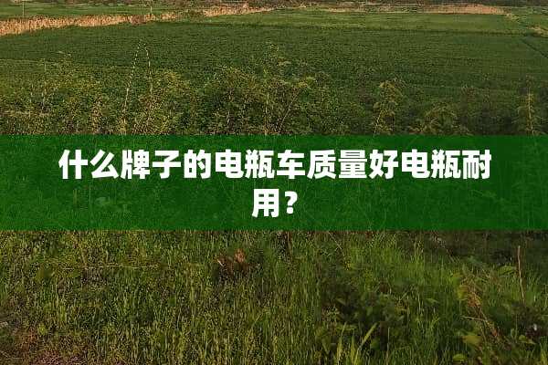 什么牌子的电瓶车质量好电瓶耐用？