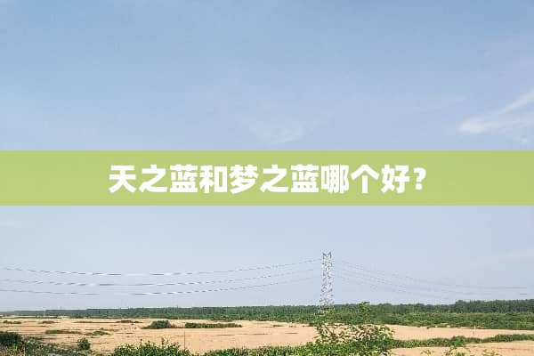 天之蓝和梦之蓝哪个好？