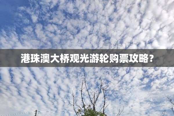 港珠澳大桥观光游轮购票攻略？