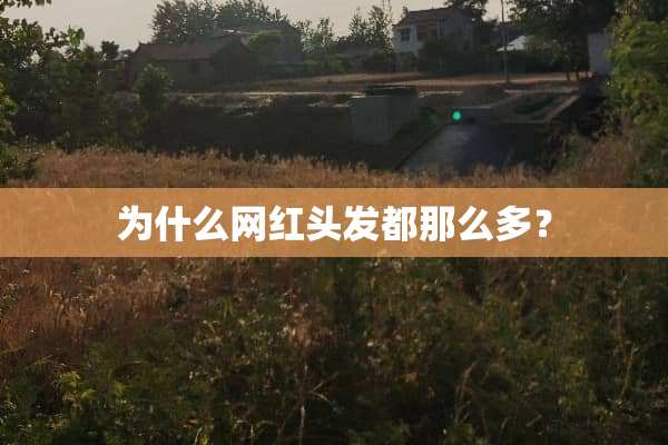 为什么网红头发都那么多？