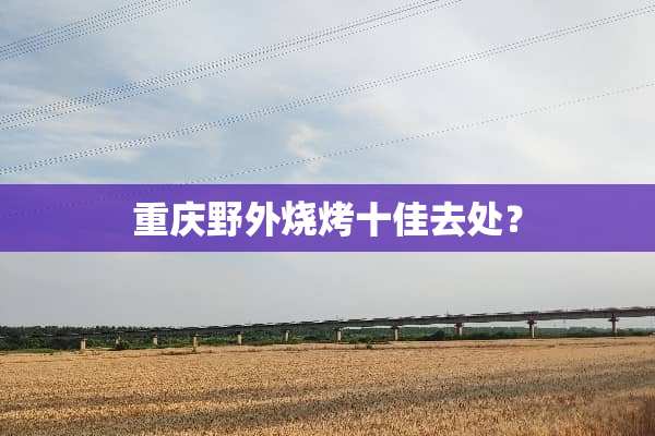 重庆野外烧烤十佳去处？