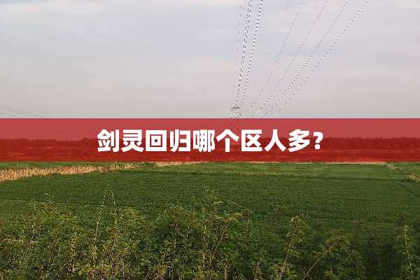 剑灵回归哪个区人多？