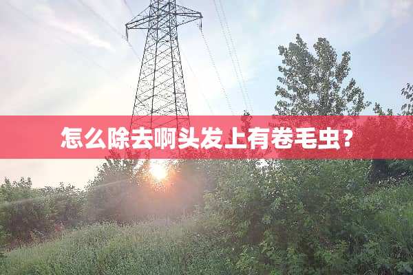 怎么除去啊头发上有卷毛虫？