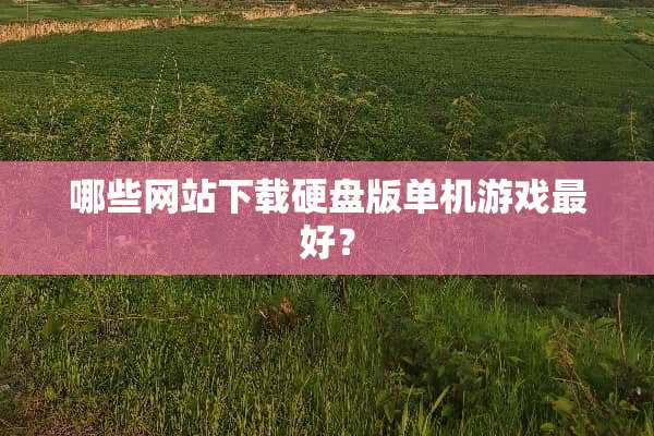 哪些网站下载硬盘版单机游戏最好？