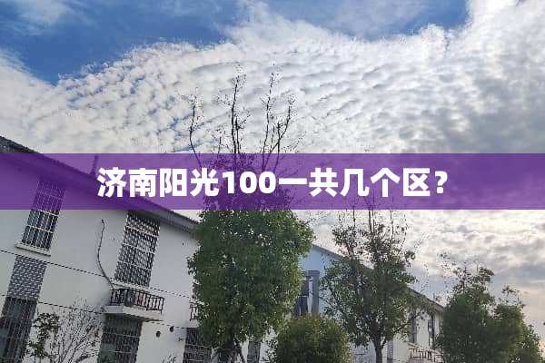 济南阳光100一共几个区？