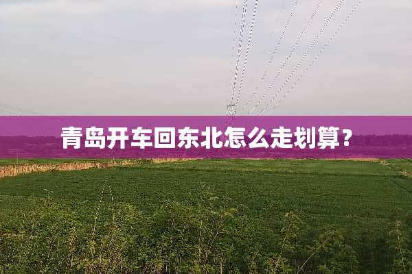青岛开车回东北怎么走划算？