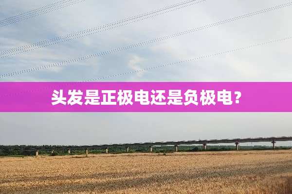 头发是正极电还是负极电？