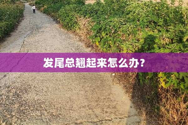 发尾总翘起来怎么办？