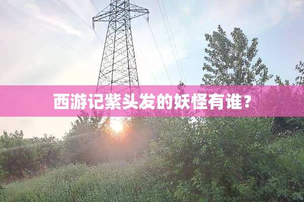 西游记紫头发的妖怪有谁？