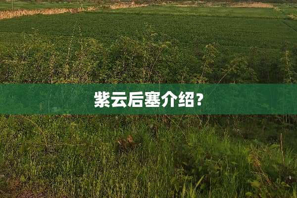 紫云后塞介绍？