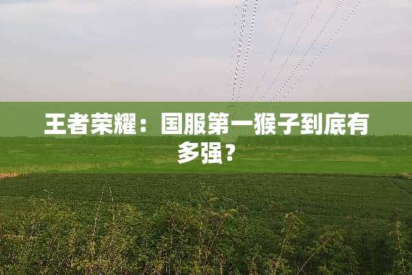 王者荣耀：国服第一猴子到底有多强？