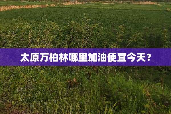 太原万柏林哪里加油便宜今天？