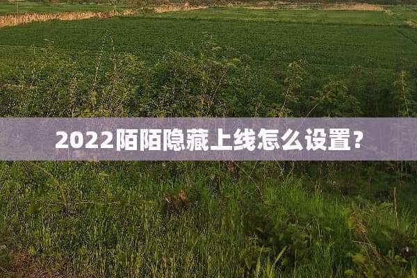 2022陌陌隐藏上线怎么设置？