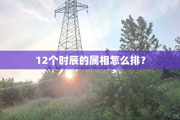 12个时辰的属相怎么排？
