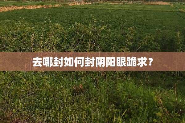去哪封如何封*阳眼跪求？